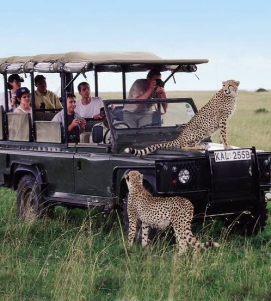 Safari is a MUST!