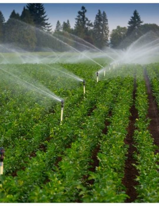 Smart Irrigation Market Report